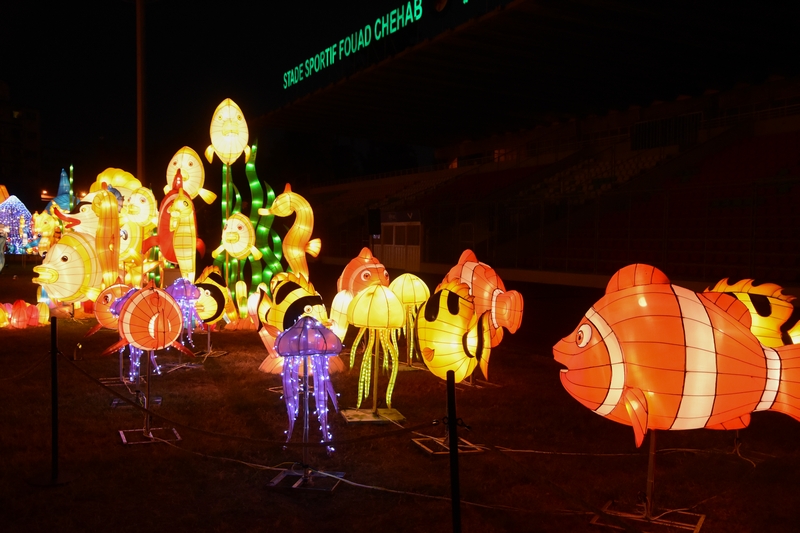 WONDERLAND A magical city of lights
